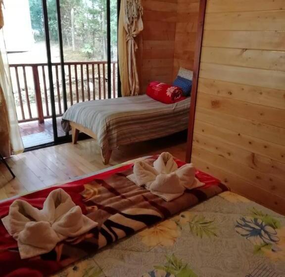 Cabañas San Gerardo