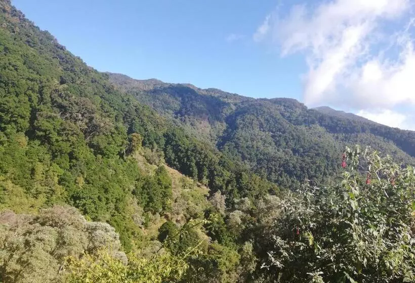 Cabañas San Gerardo