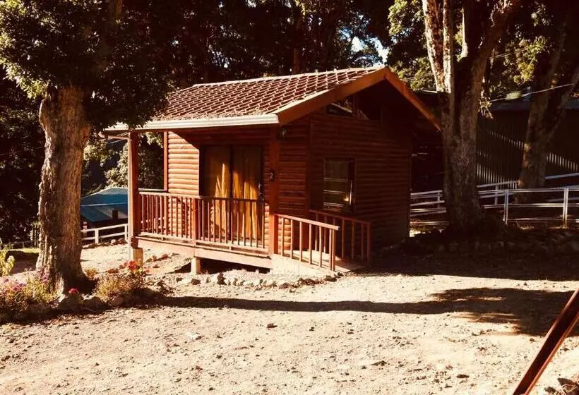 Cabañas San Gerardo