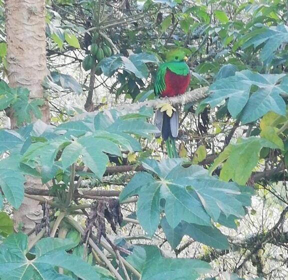 Cabañas San Gerardo