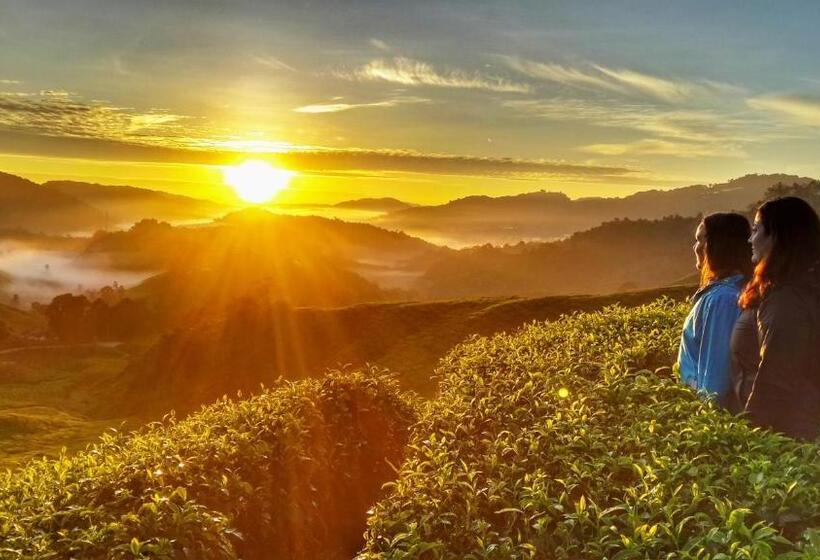 Pensjonat 100 Oastel Coliving