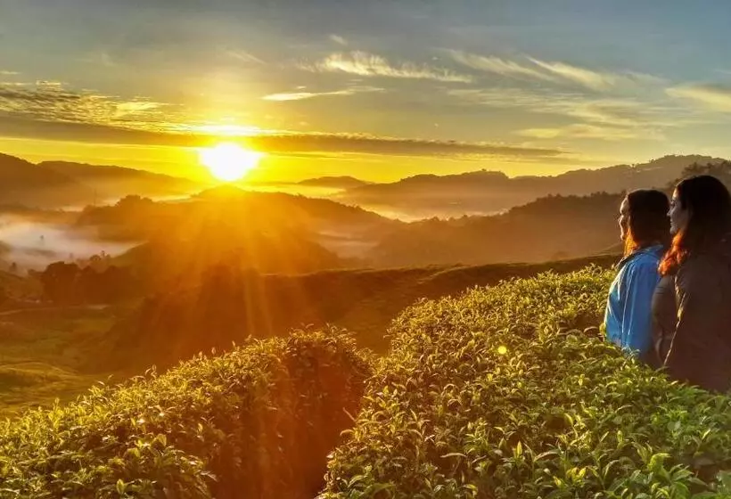 پانسیون 100 Oastel Coliving