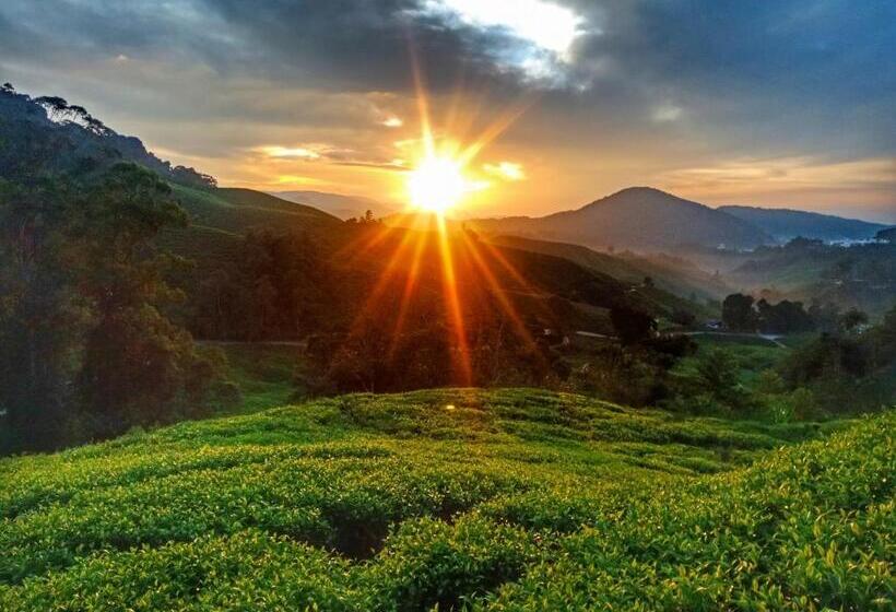 Pensjonat 100 Oastel Coliving