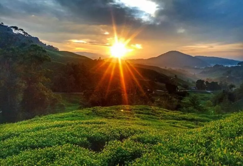 پانسیون 100 Oastel Coliving