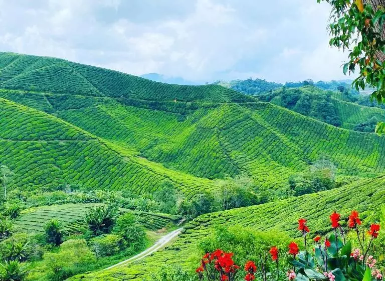 پانسیون 100 Oastel Coliving