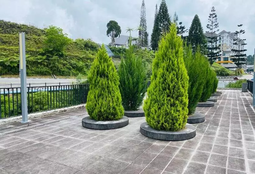 پانسیون 100 Oastel Coliving