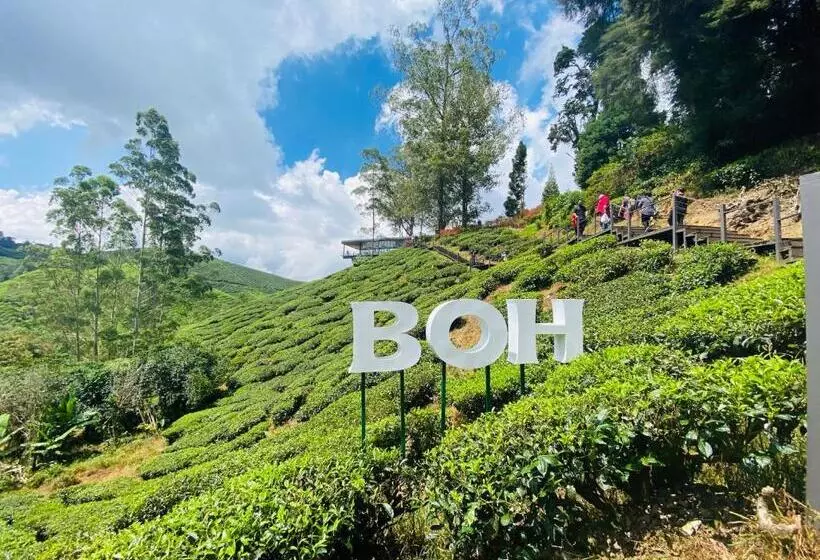 پانسیون 100 Oastel Coliving