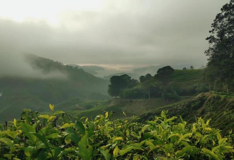 Pensjonat 100 Oastel Coliving