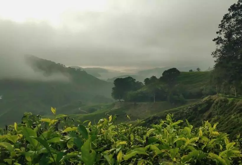 پانسیون 100 Oastel Coliving