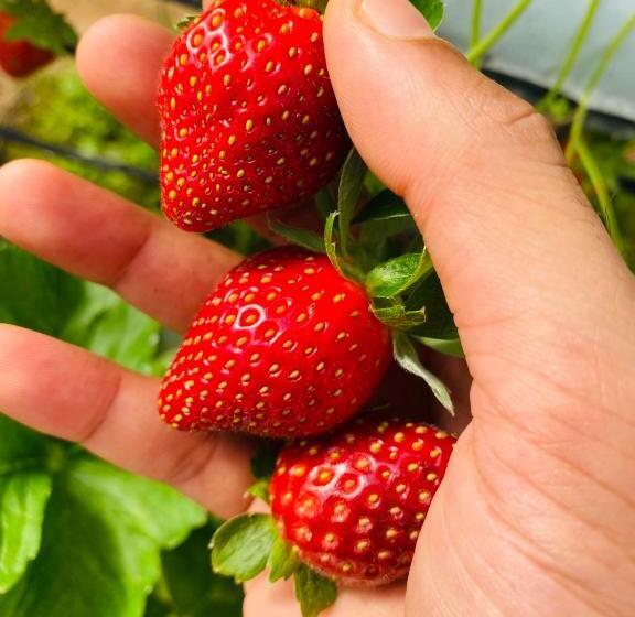 Pensjonat 100 Oastel Coliving