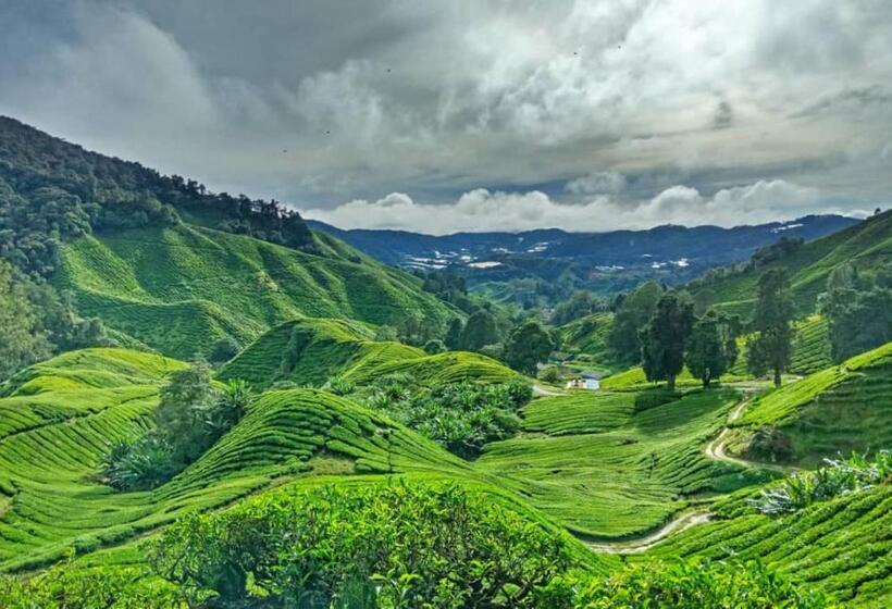 Pensjonat 100 Oastel Coliving