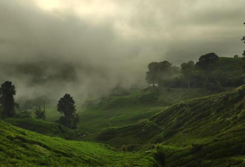 Pensjonat 100 Oastel Coliving