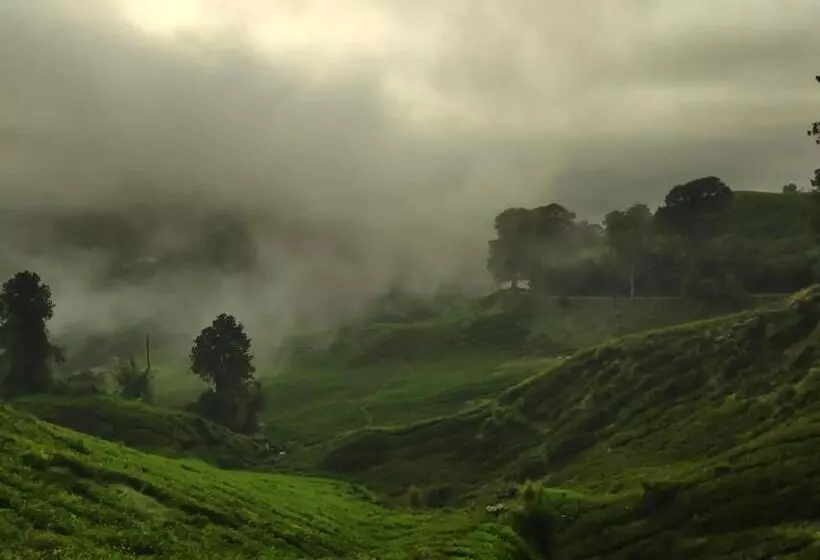 پانسیون 100 Oastel Coliving