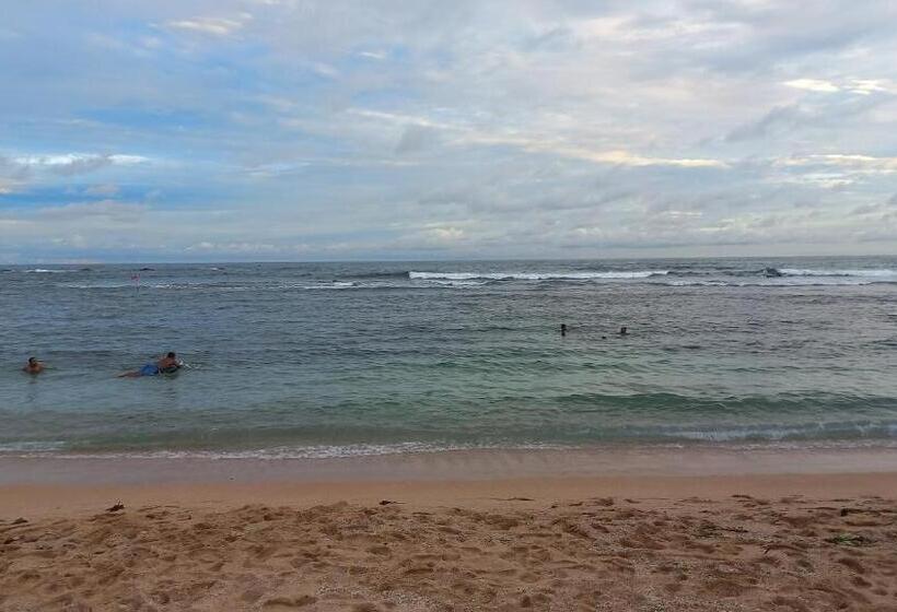 Panzió Calm Palace Tangalle