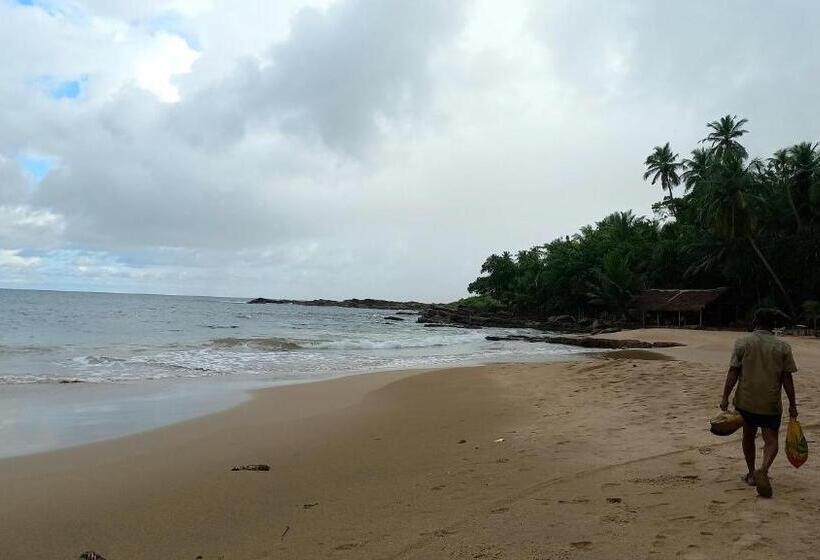 Panzió Calm Palace Tangalle