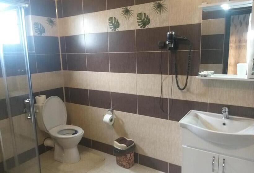 Pensiunea Casa Nușa