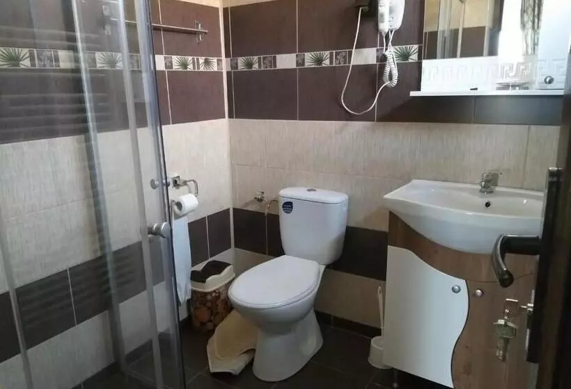 Pensiunea Casa Nușa