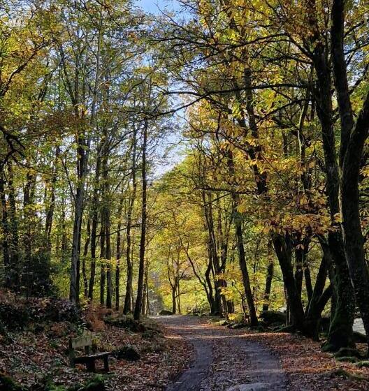 مبيت وإفطار Chambre D Hôtes Se Sentir Libre Noisette