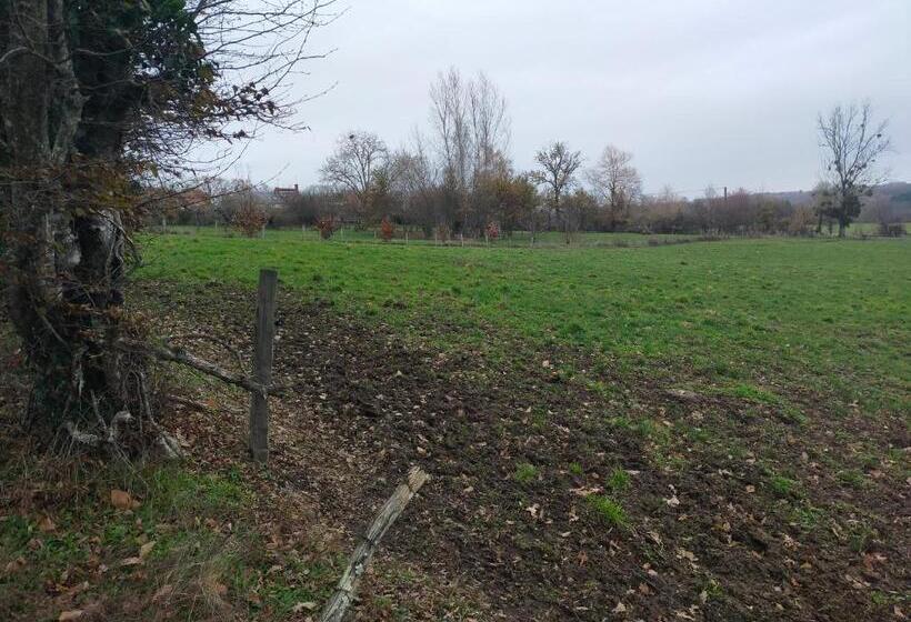 مبيت وإفطار Chambre D Hôtes Se Sentir Libre Noisette