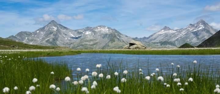 Bed and Breakfast Garni Waldeck