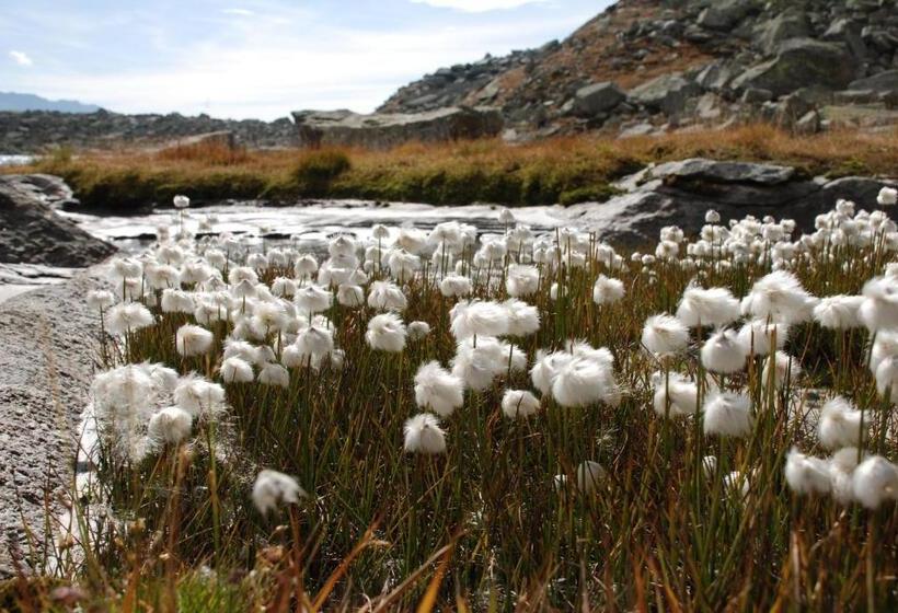 Bed and Breakfast Garni Waldeck