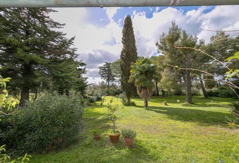 酒店 Il Nazareno   Il Coppaio