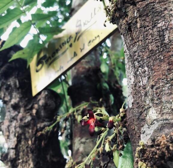 Pensão Cherish Calm & Wild