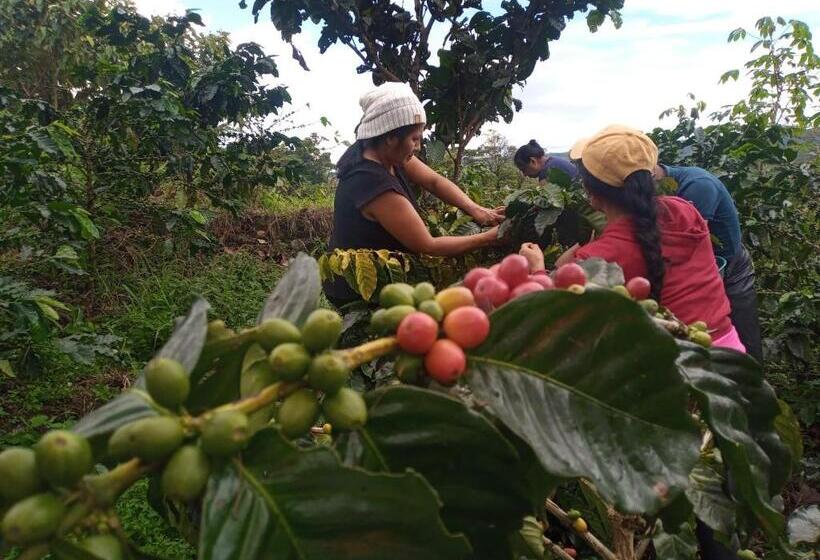 호텔 Aulaviva Tropical