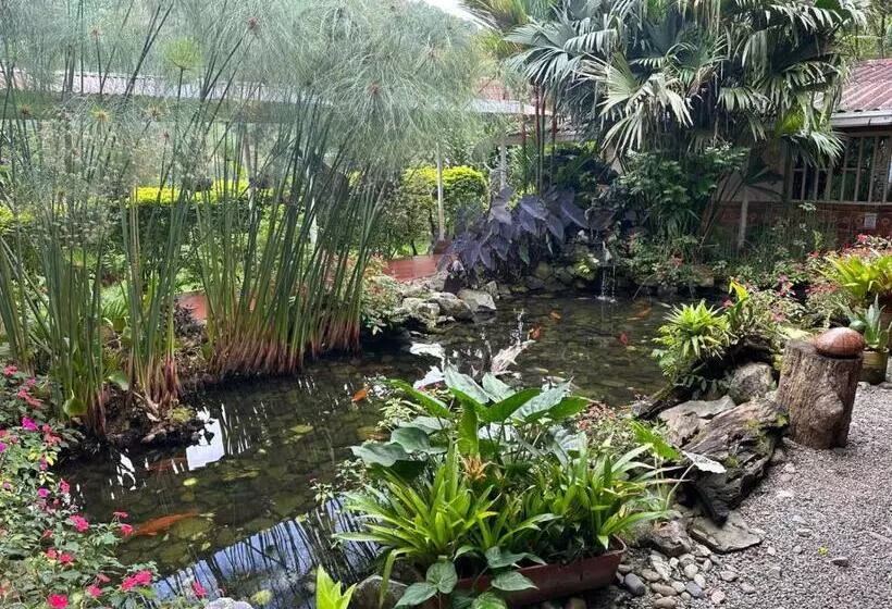 ホテル Aulaviva Tropical