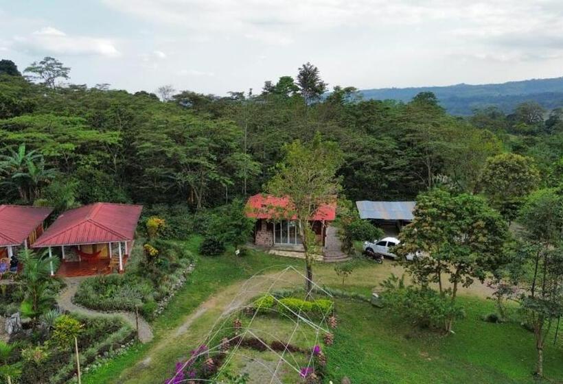 호텔 Aulaviva Tropical