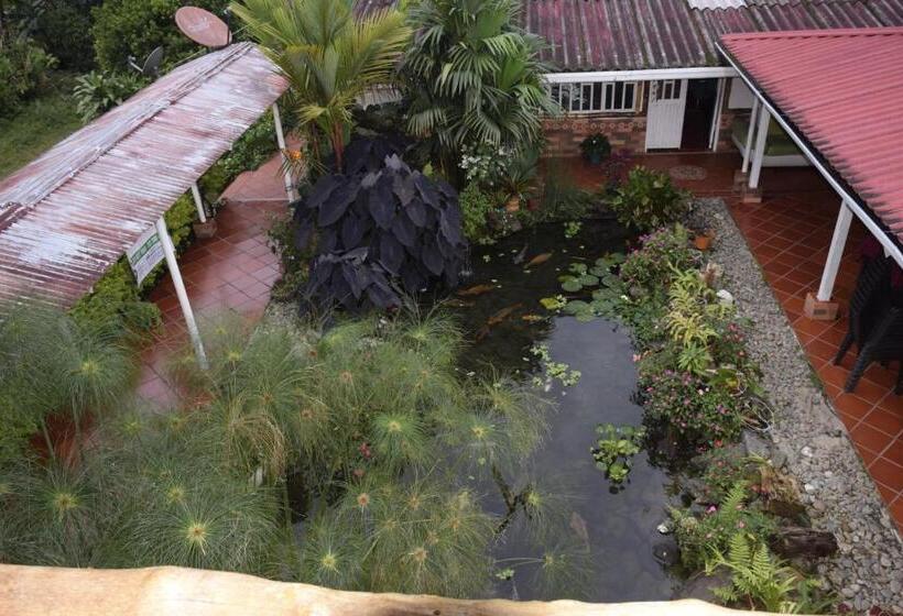 호텔 Aulaviva Tropical