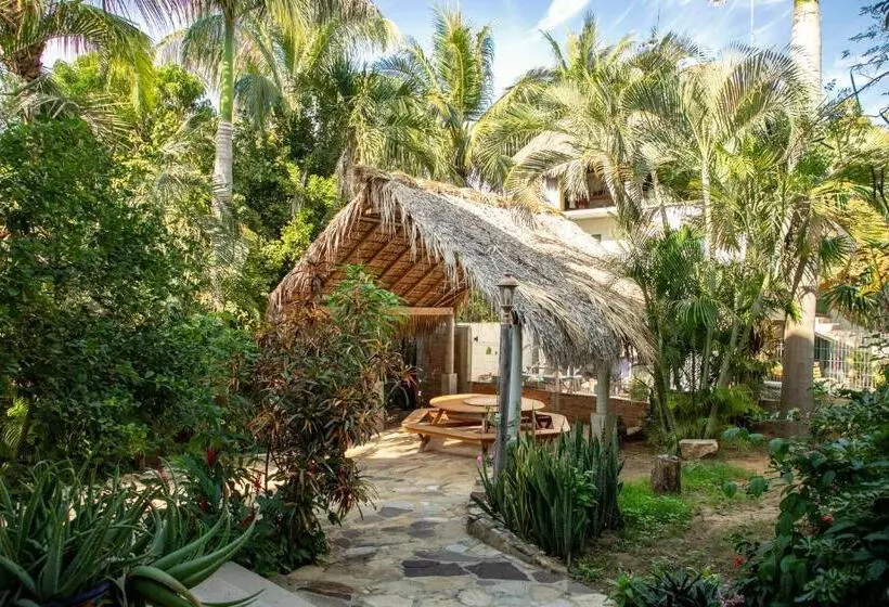 ホテル Bombon Guesthouse N3