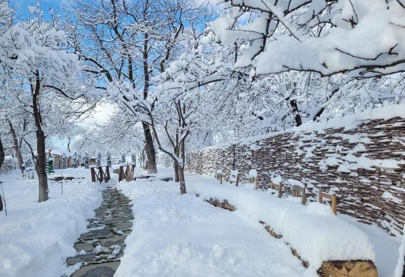 پانسیون Casuta Cu Mar De La Joyard