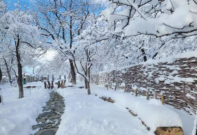 Majatalo Casuta Cu Mar De La Joyard