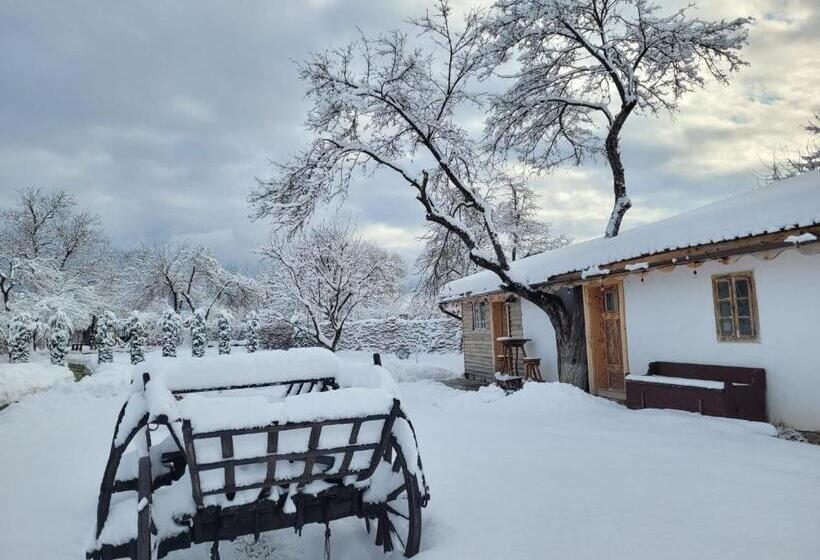 پانسیون Casuta Cu Mar De La Joyard