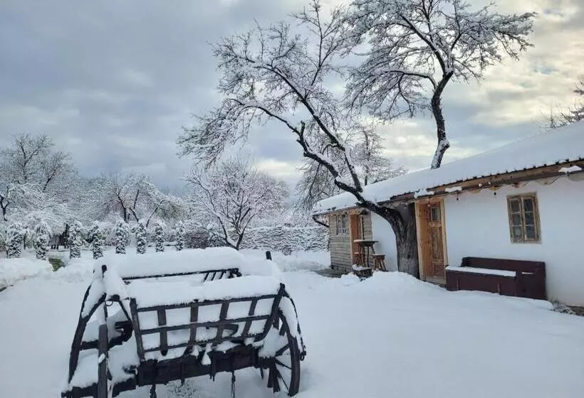 Majatalo Casuta Cu Mar De La Joyard