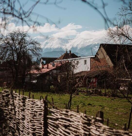 پانسیون Casuta Cu Mar De La Joyard