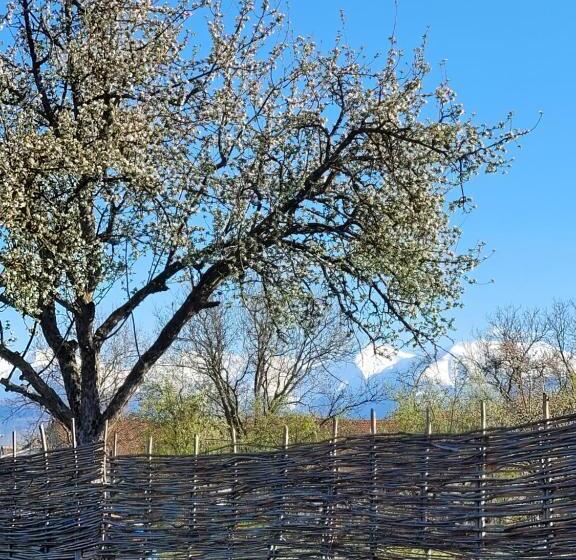 پانسیون Casuta Cu Mar De La Joyard