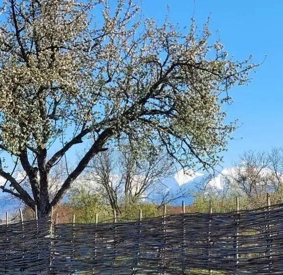 Majatalo Casuta Cu Mar De La Joyard