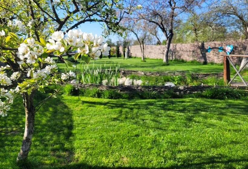 پانسیون Casuta Cu Mar De La Joyard