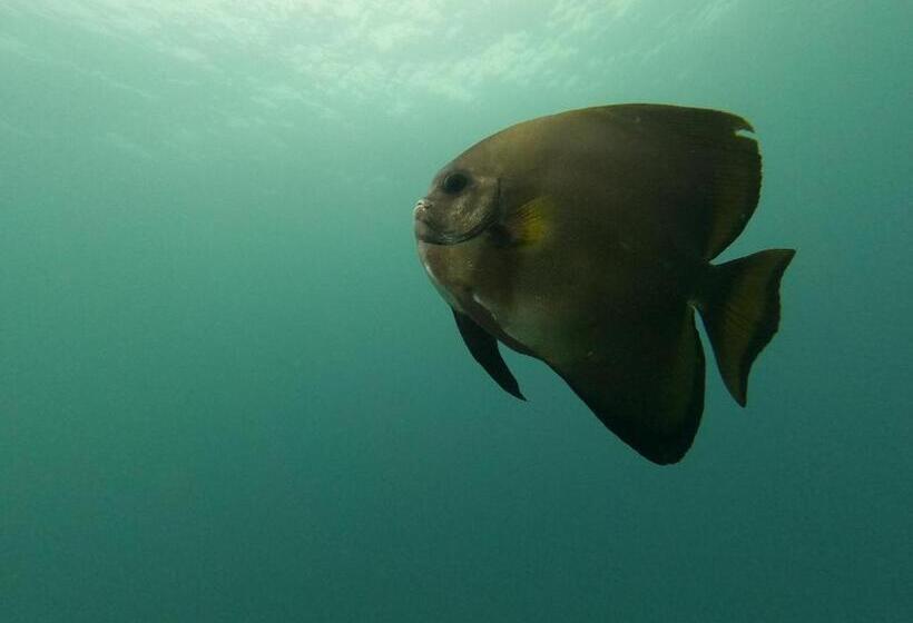 Pensão Hilda Guest House