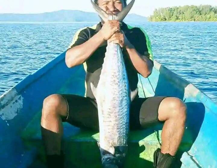 Pensão Hilda Guest House