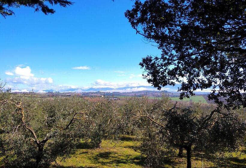 ベッドアンドブレックファースト La Collina Dei Venti