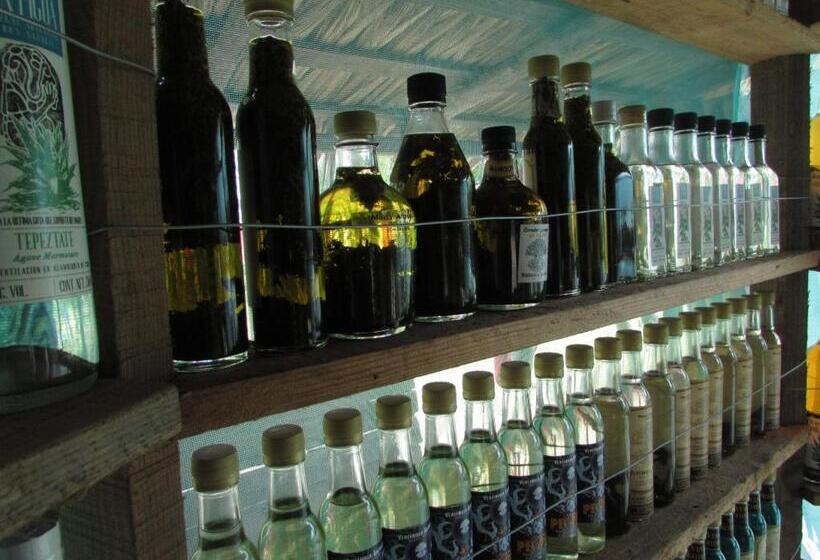 호텔 Hab #3 La Casa Del Profe Salo