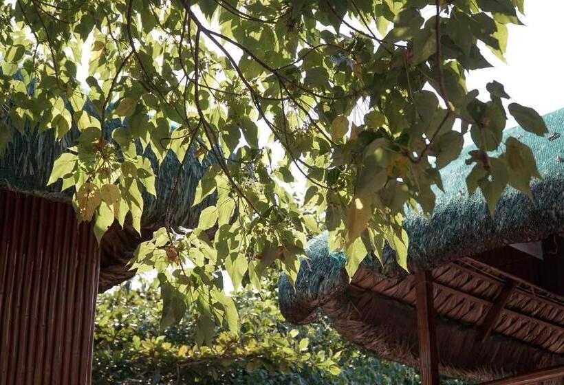 Hotel The Blessed Purple Bamboo Beach Resort