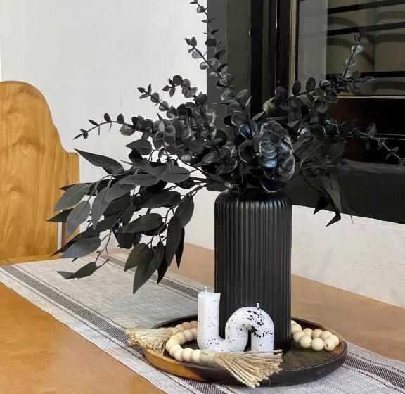 פנסיון Casa Olivia