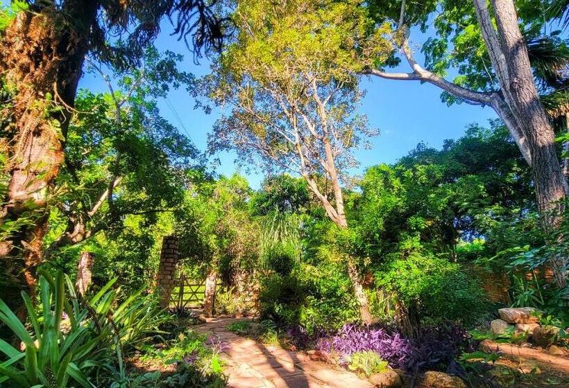 Pension Miko Loko Hospedaria