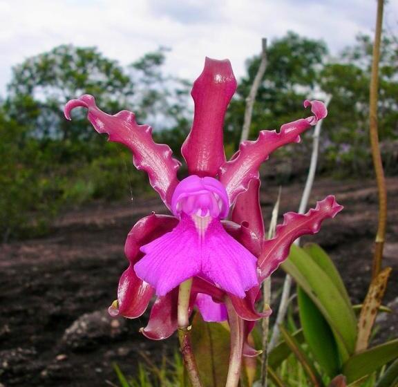 Pension Miko Loko Hospedaria