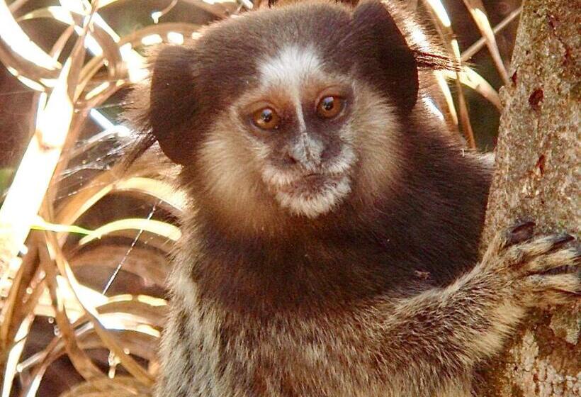 Pension Miko Loko Hospedaria