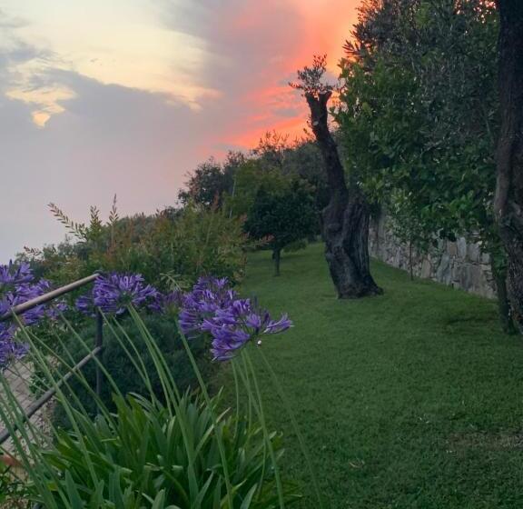 פנסיון Sea View